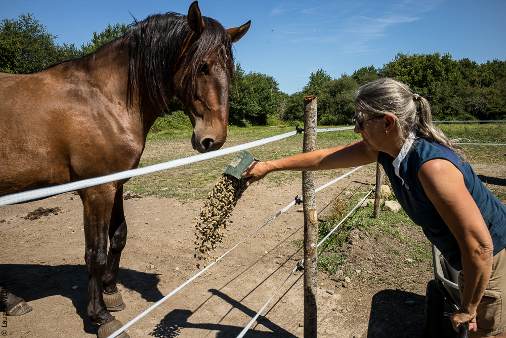 Elevage du Parc 20200711-0195