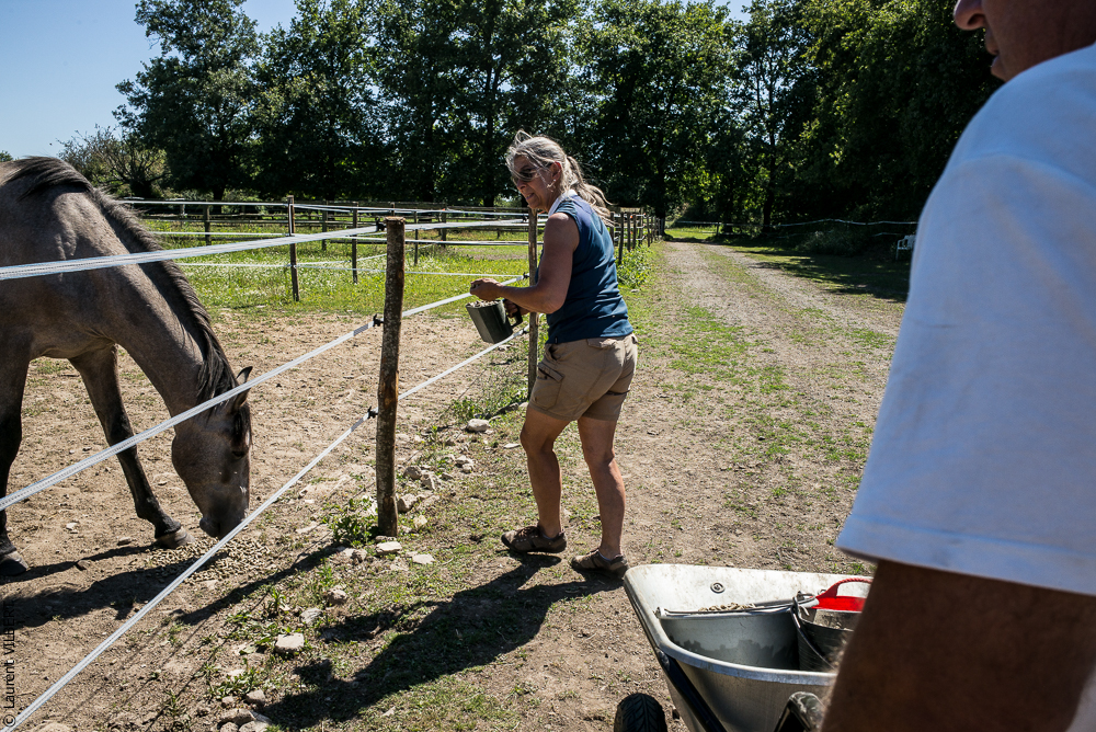 Elevage du Parc 20200711-0205