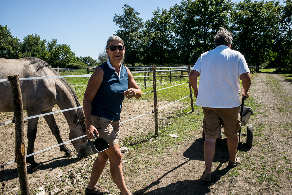 Elevage du Parc 20200711-0213