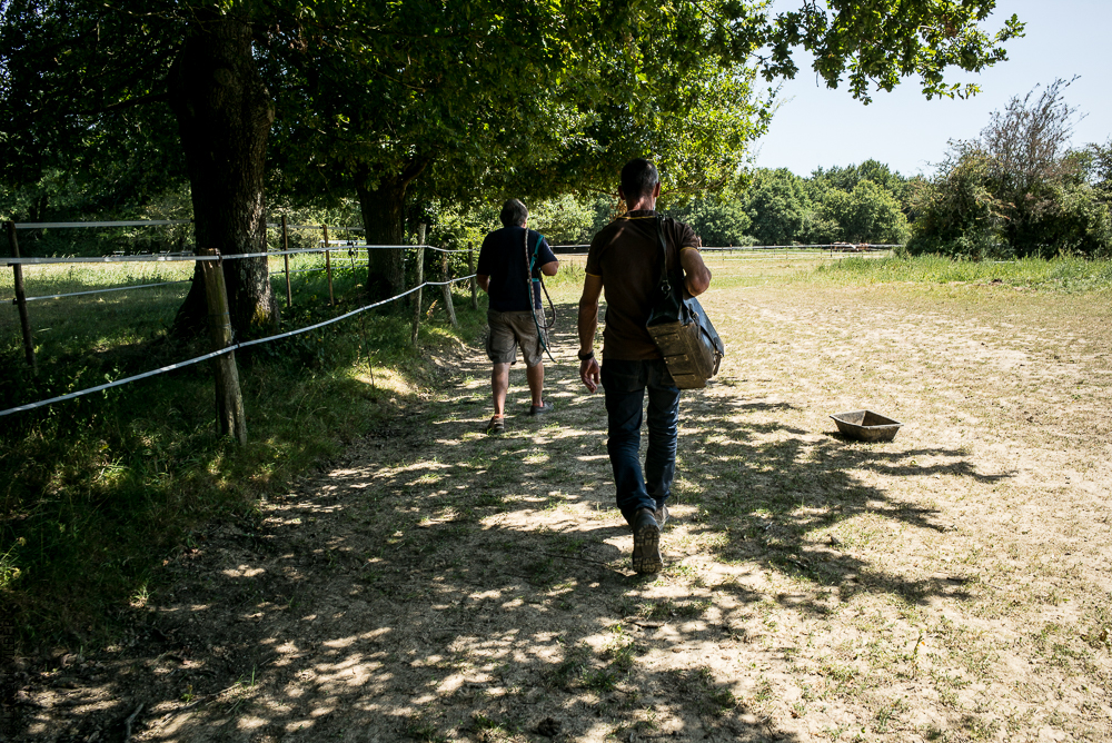 Elevage du Parc 20200721-0222