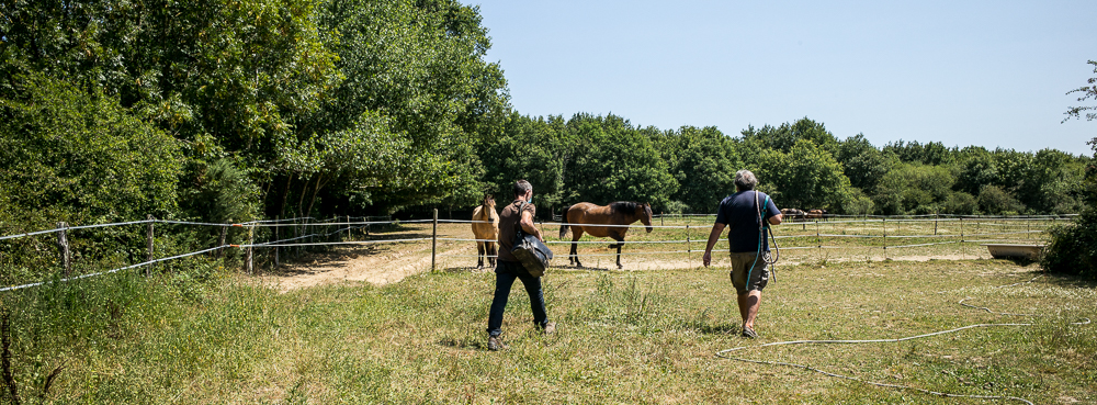Elevage du Parc 20200721-0225