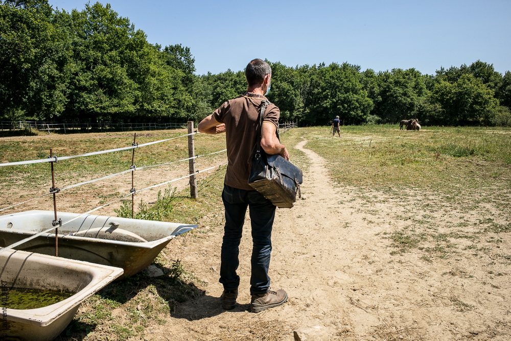 Elevage du Parc 20200721-0229