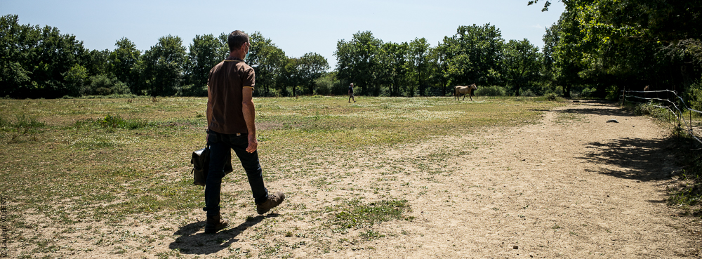 Elevage du Parc 20200721-0234