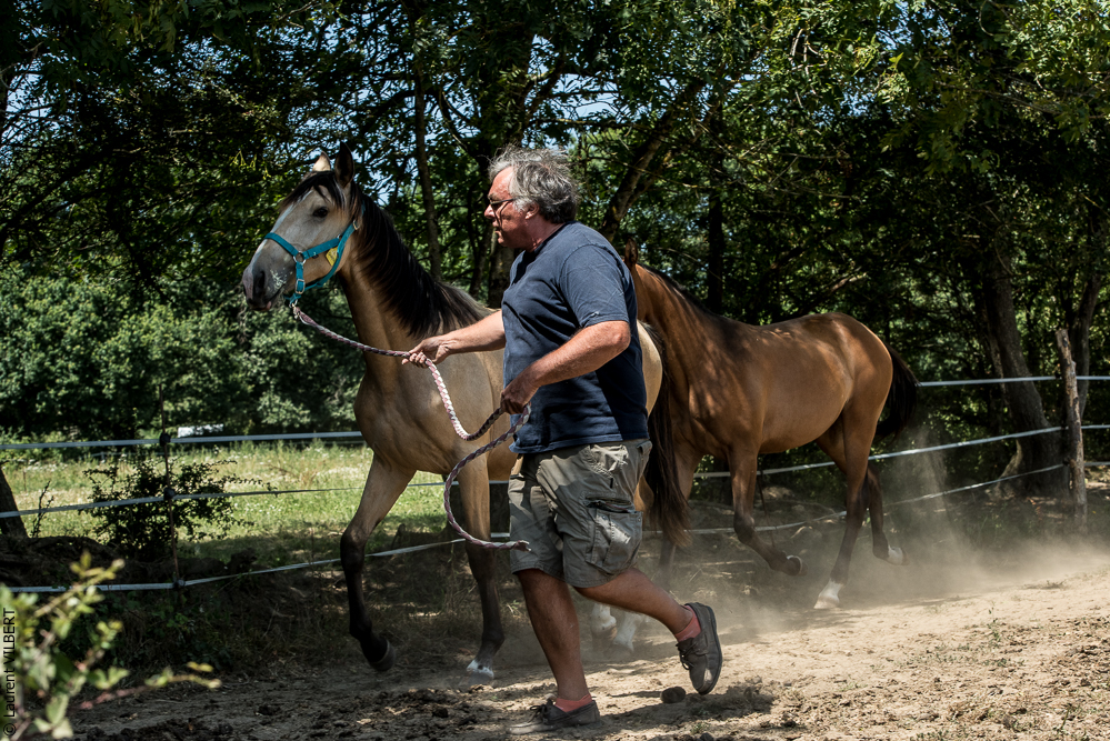 Elevage du Parc 20200721-0285