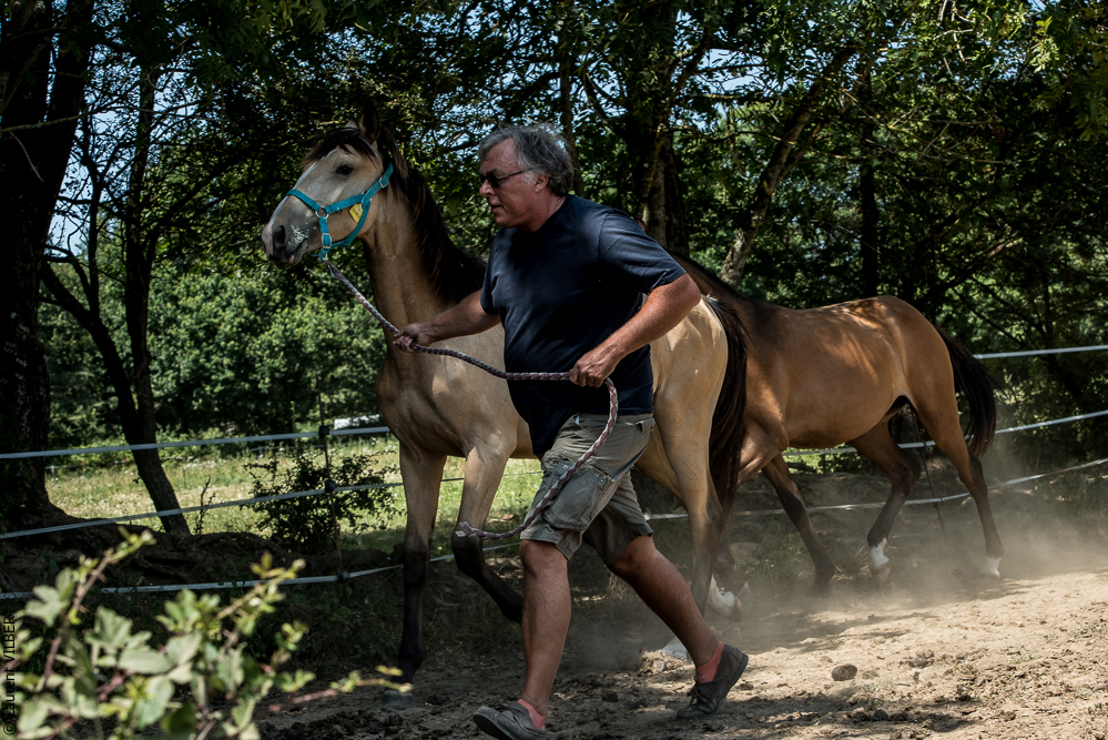 Elevage du Parc 20200721-0286