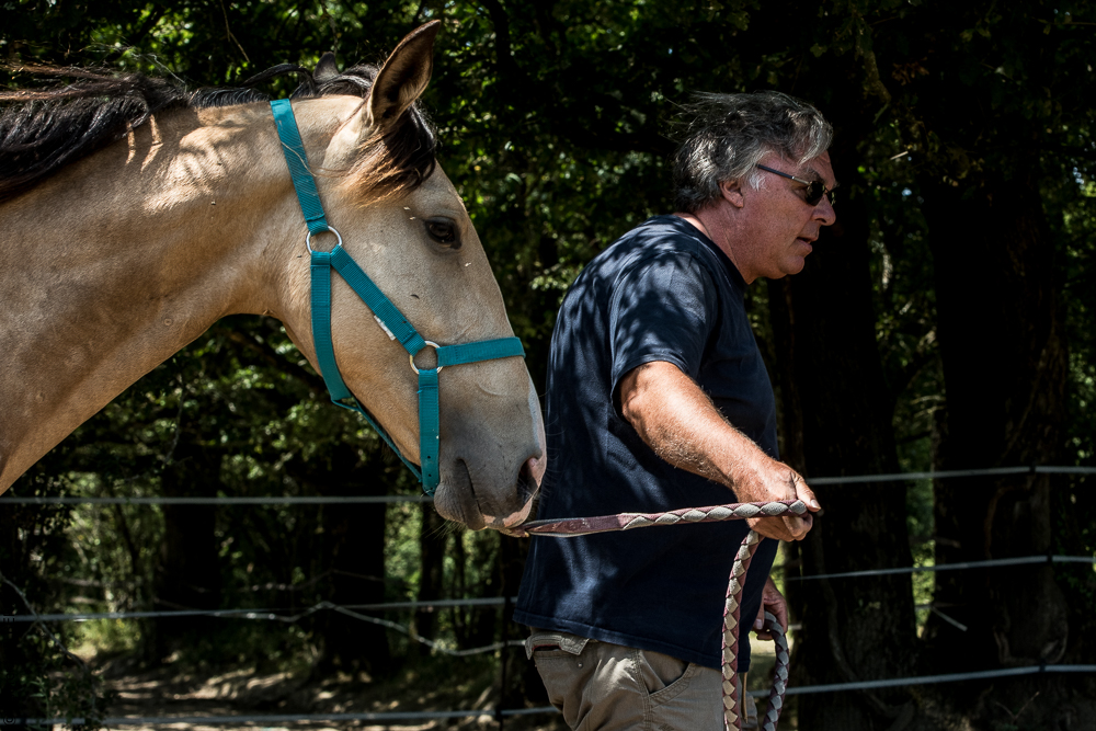 Elevage du Parc 20200721-0292