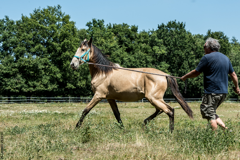 Elevage du Parc 20200721-0302