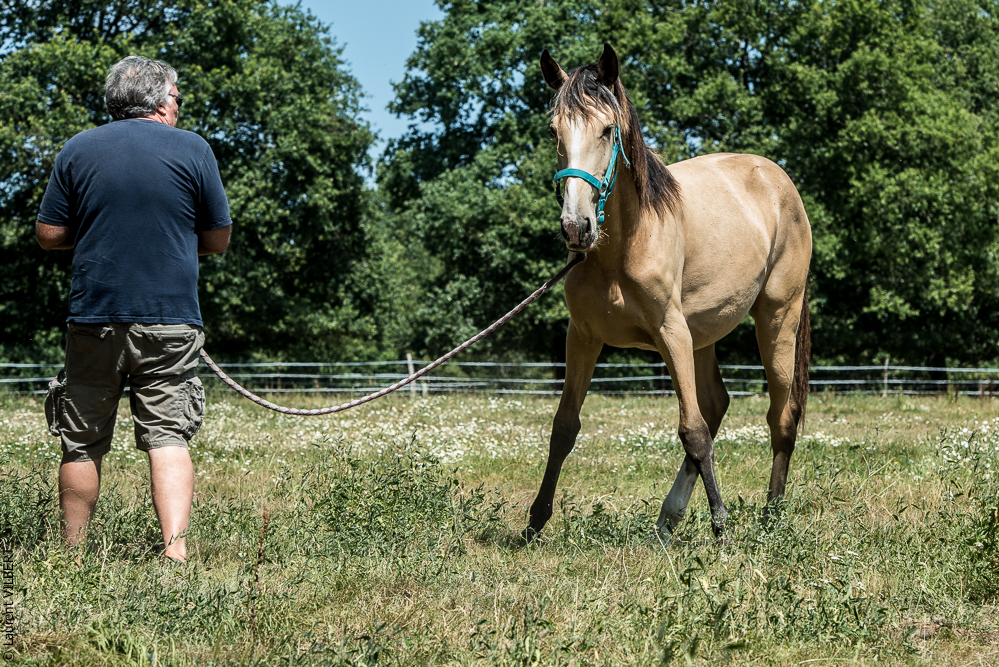 Elevage du Parc 20200721-0304