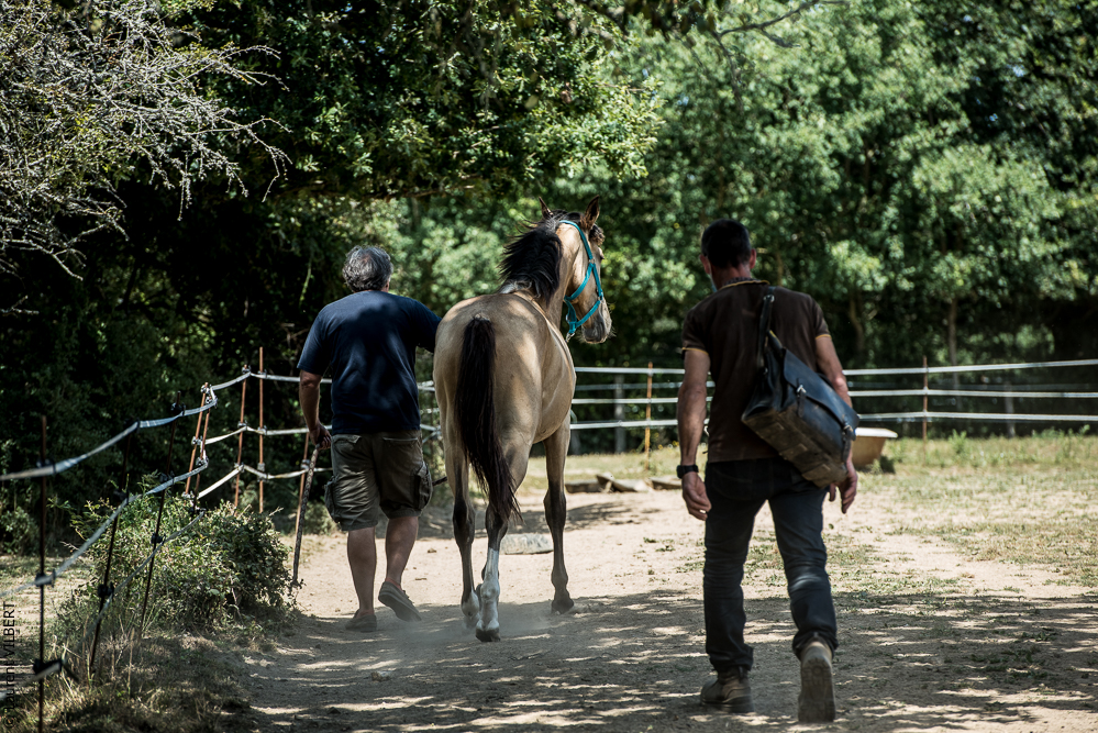 Elevage du Parc 20200721-0317