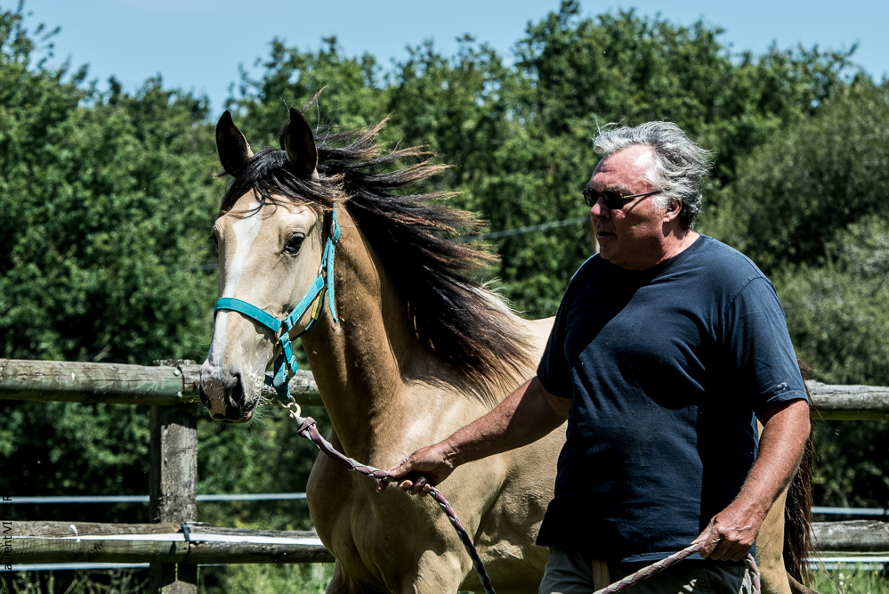 Elevage du Parc 20200721-0337