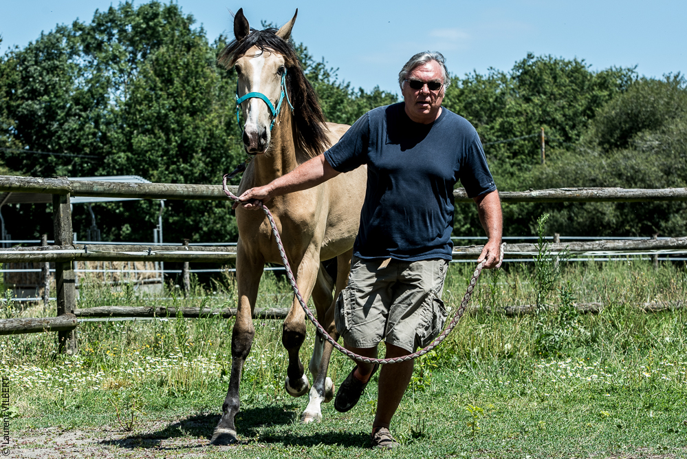 Elevage du Parc 20200721-0339