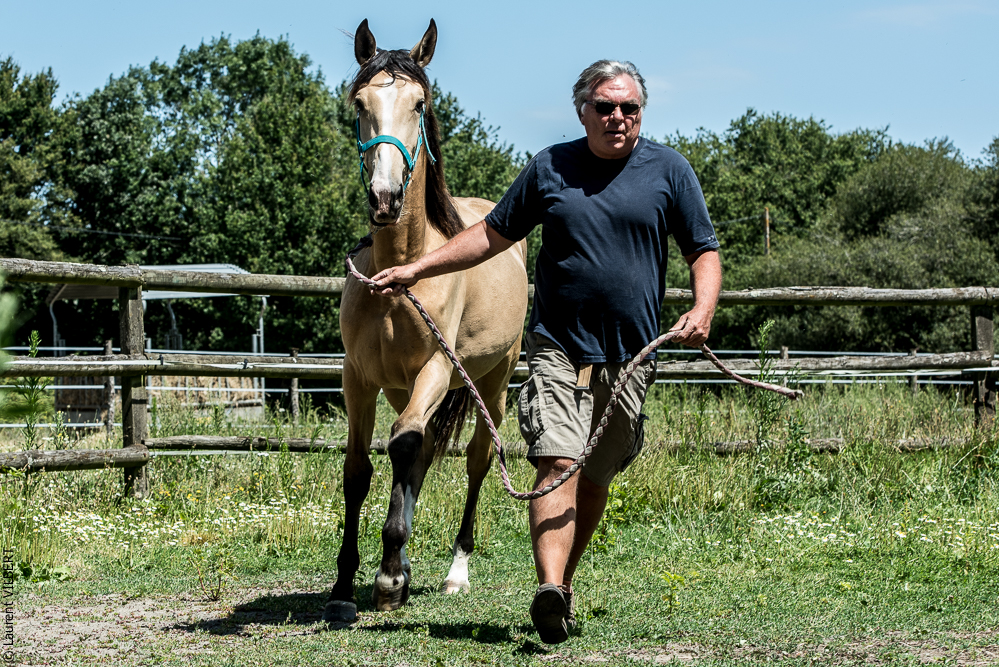Elevage du Parc 20200721-0340