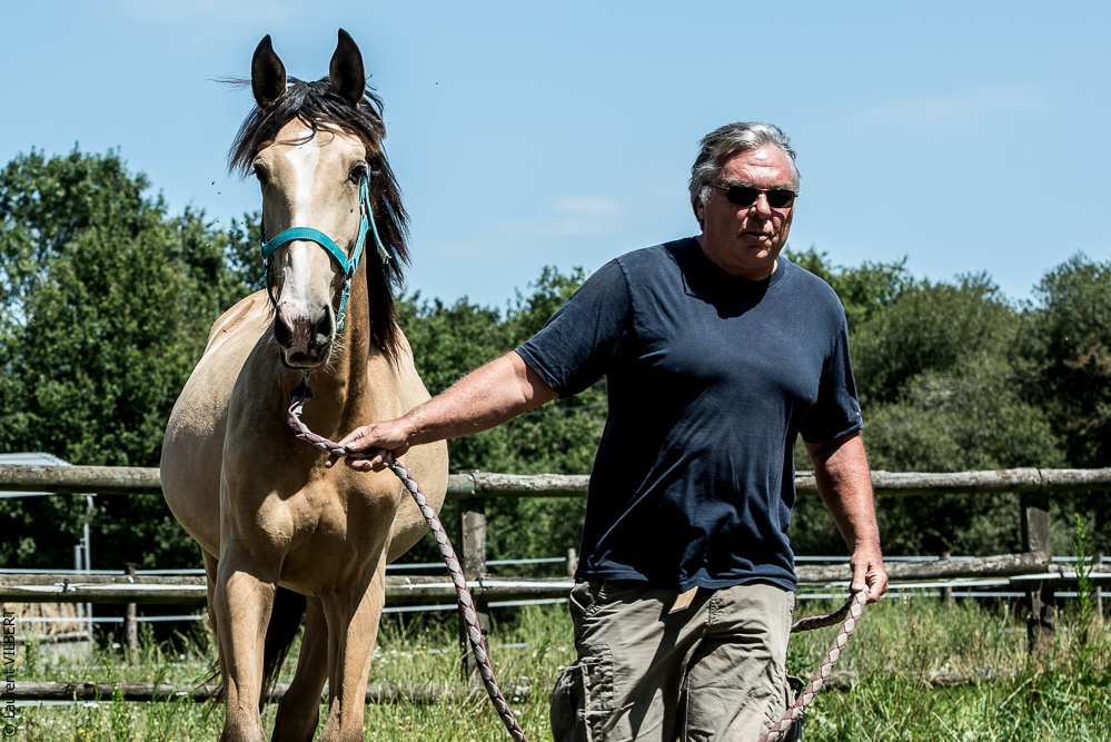 Elevage du Parc 20200721-0341