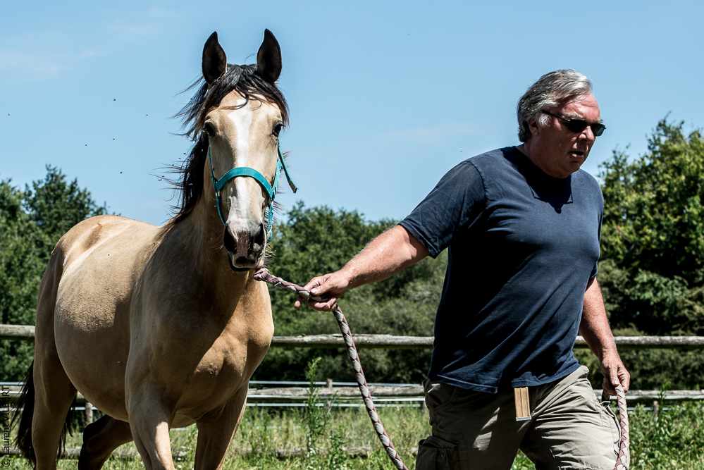 Elevage du Parc 20200721-0342