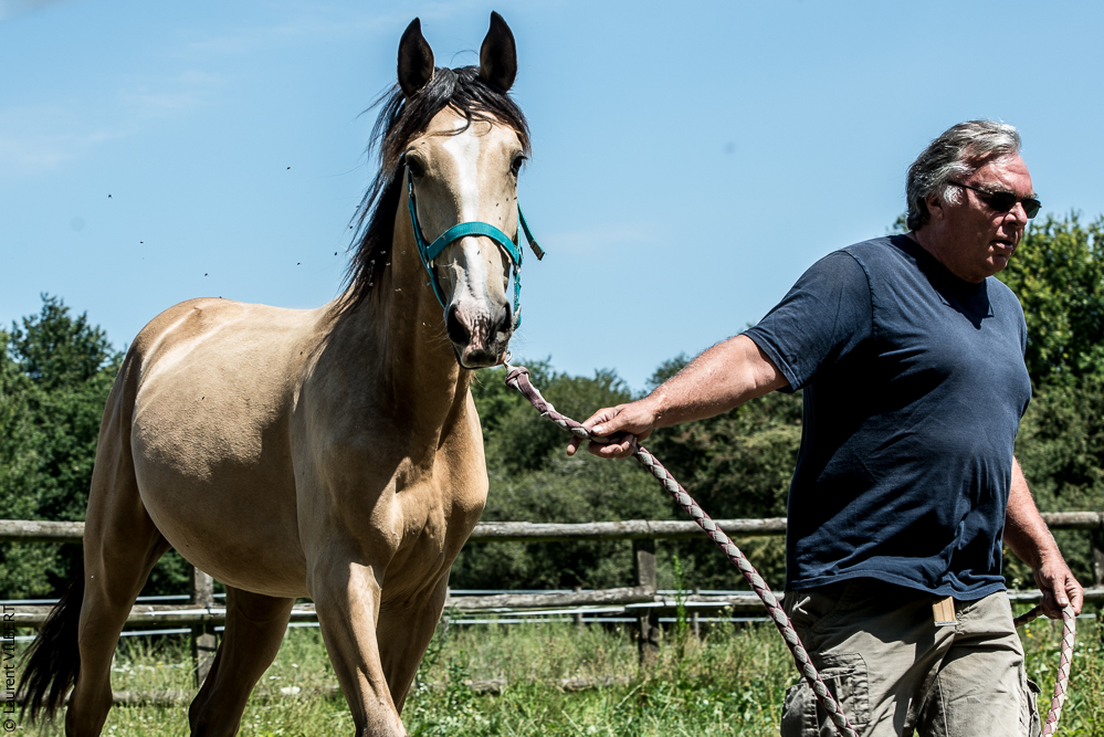 Elevage du Parc 20200721-0343