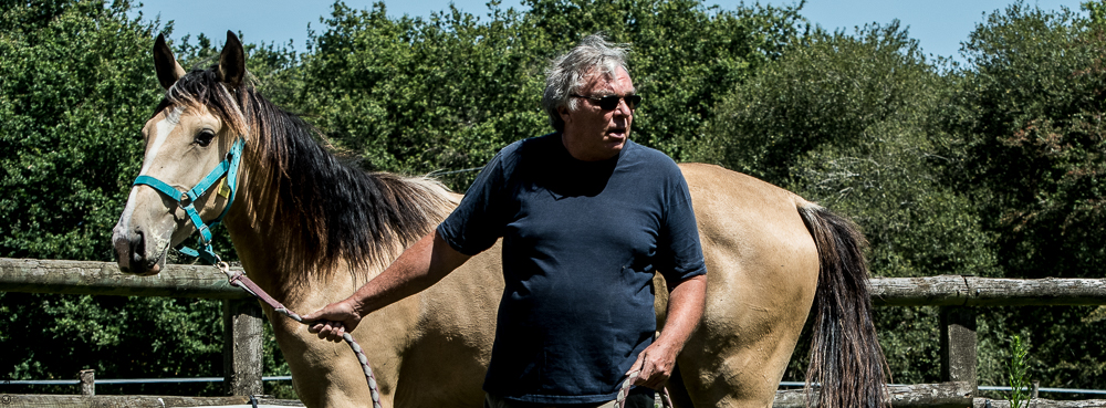 Elevage du Parc 20200721-0348