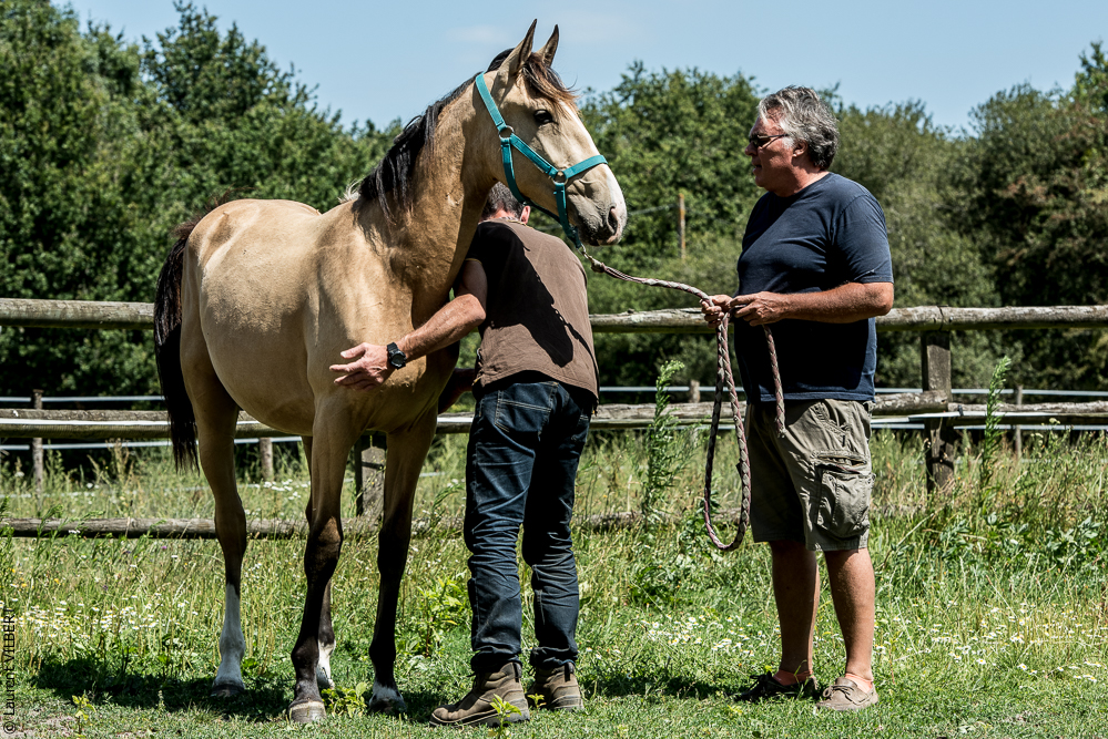 Elevage du Parc 20200721-0363