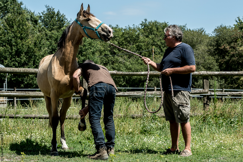 Elevage du Parc 20200721-0367