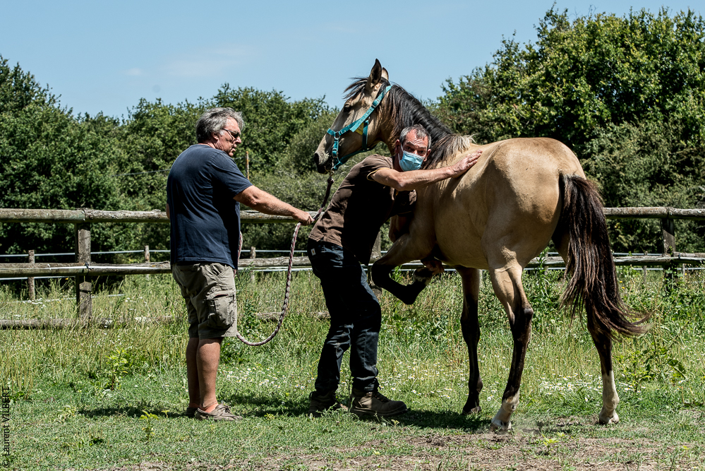 Elevage du Parc 20200721-0384