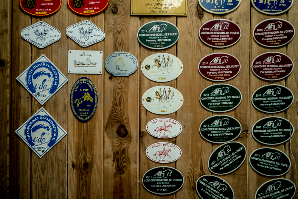 Elevage du Parc 20200721-0423