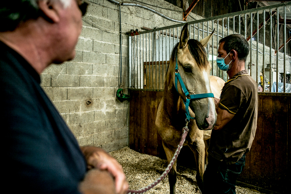 Elevage du Parc 20200721-0426