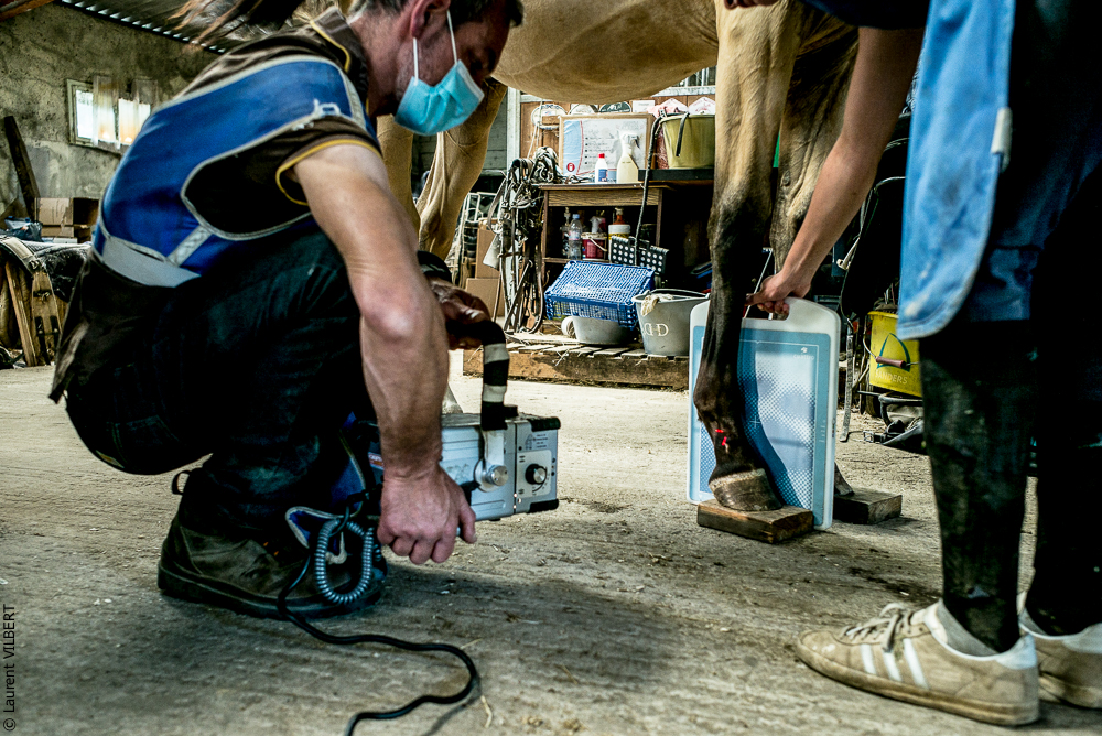 Elevage du Parc 20200721-0432