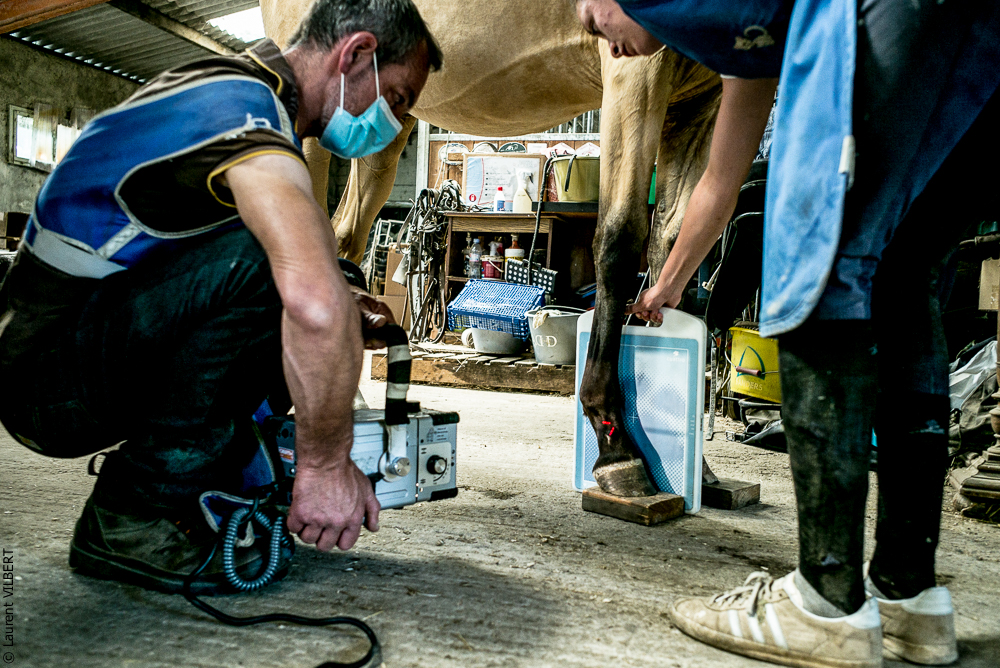 Elevage du Parc 20200721-0435