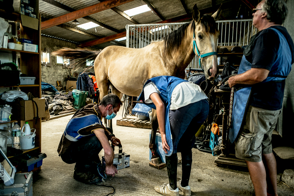 Elevage du Parc 20200721-0438
