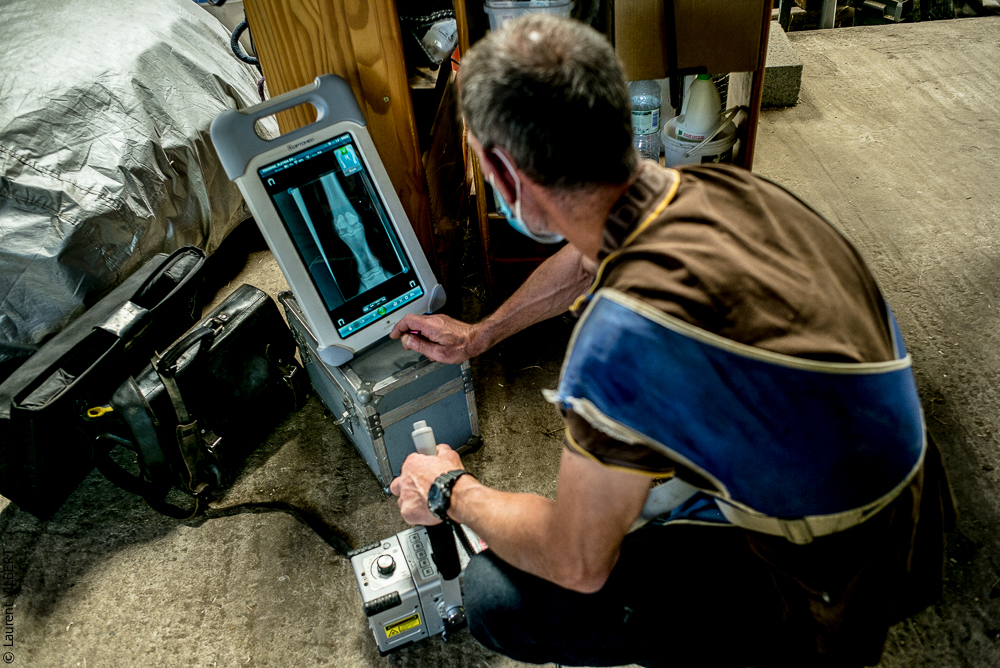 Elevage du Parc 20200721-0451