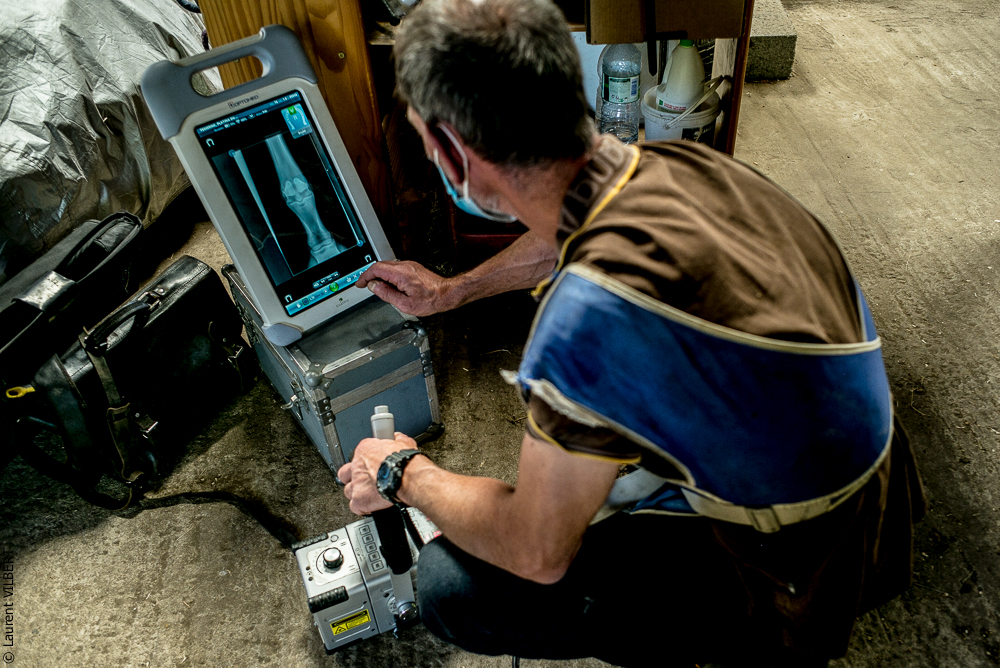 Elevage du Parc 20200721-0452