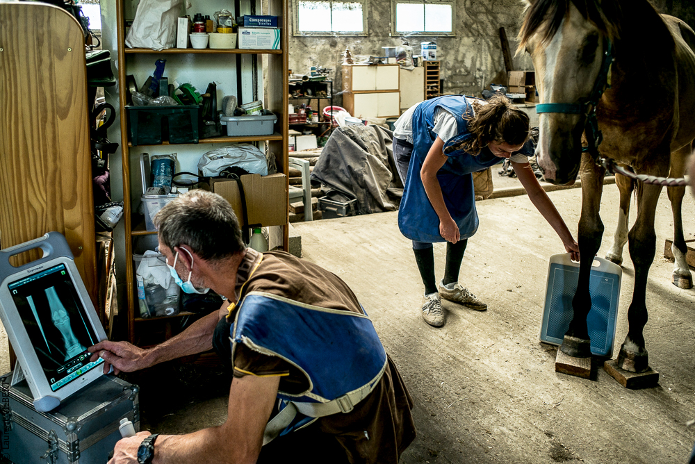 Elevage du Parc 20200721-0453