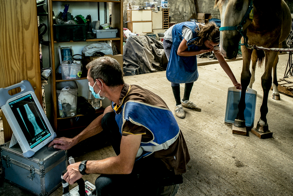 Elevage du Parc 20200721-0456