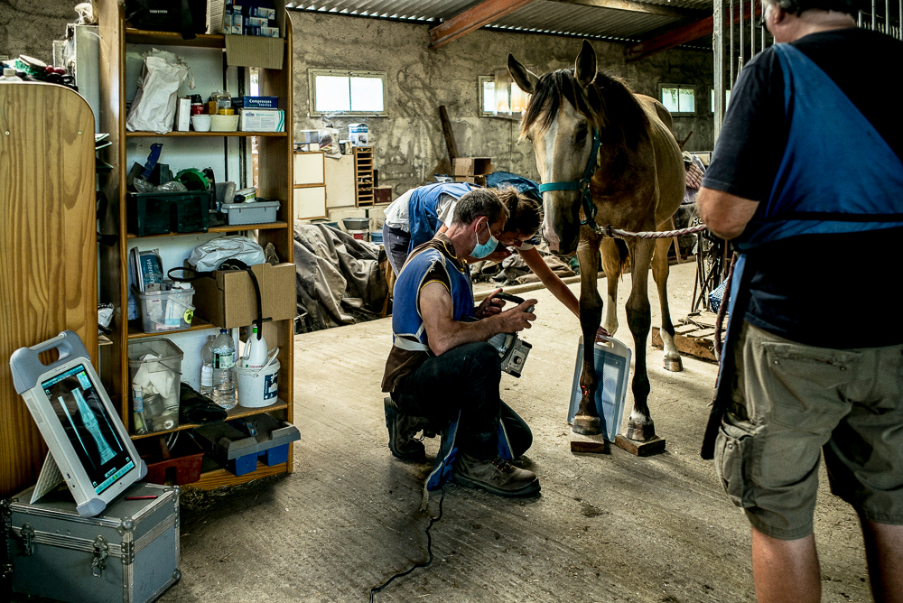 Elevage du Parc 20200721-0460