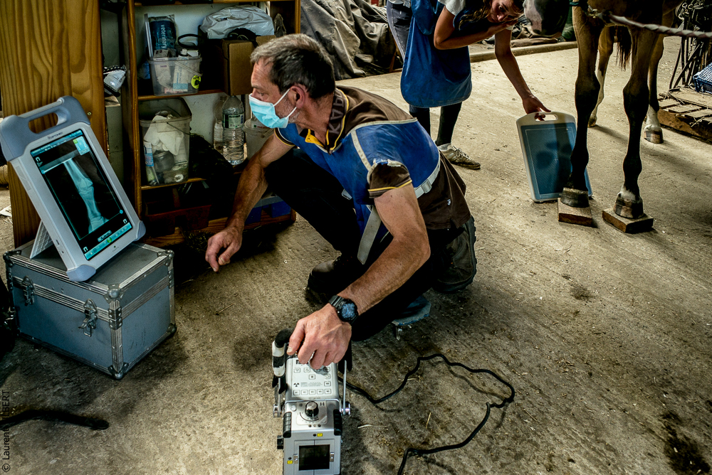 Elevage du Parc 20200721-0467