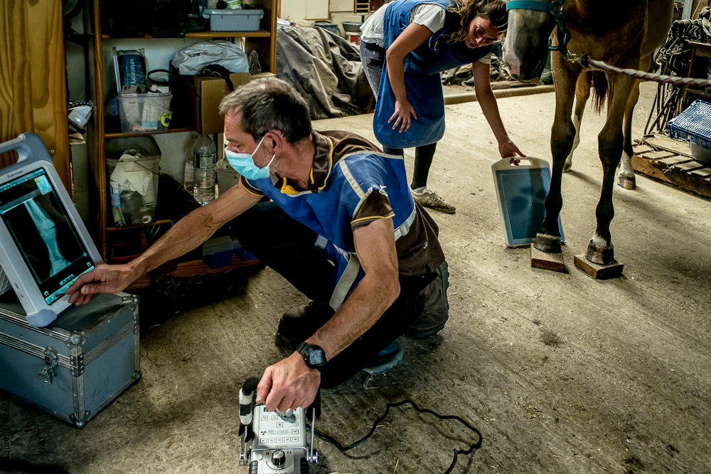 Elevage du Parc 20200721-0471