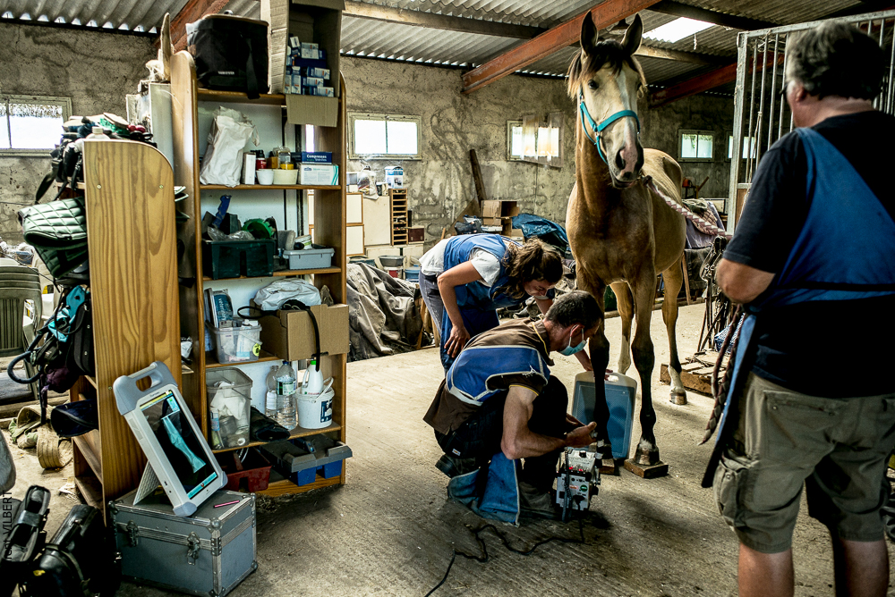 Elevage du Parc 20200721-0480