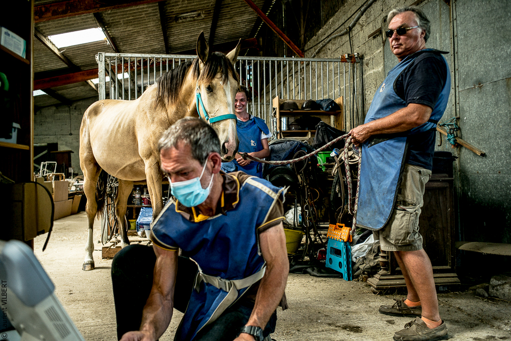 Elevage du Parc 20200721-0498