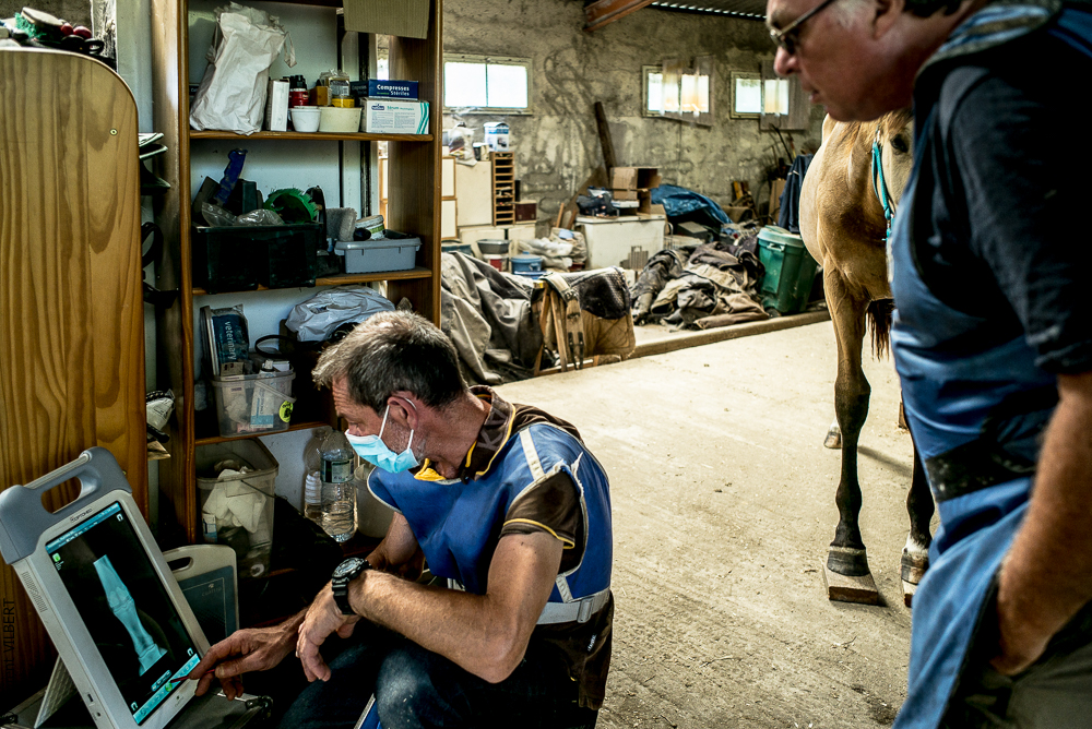 Elevage du Parc 20200721-0510