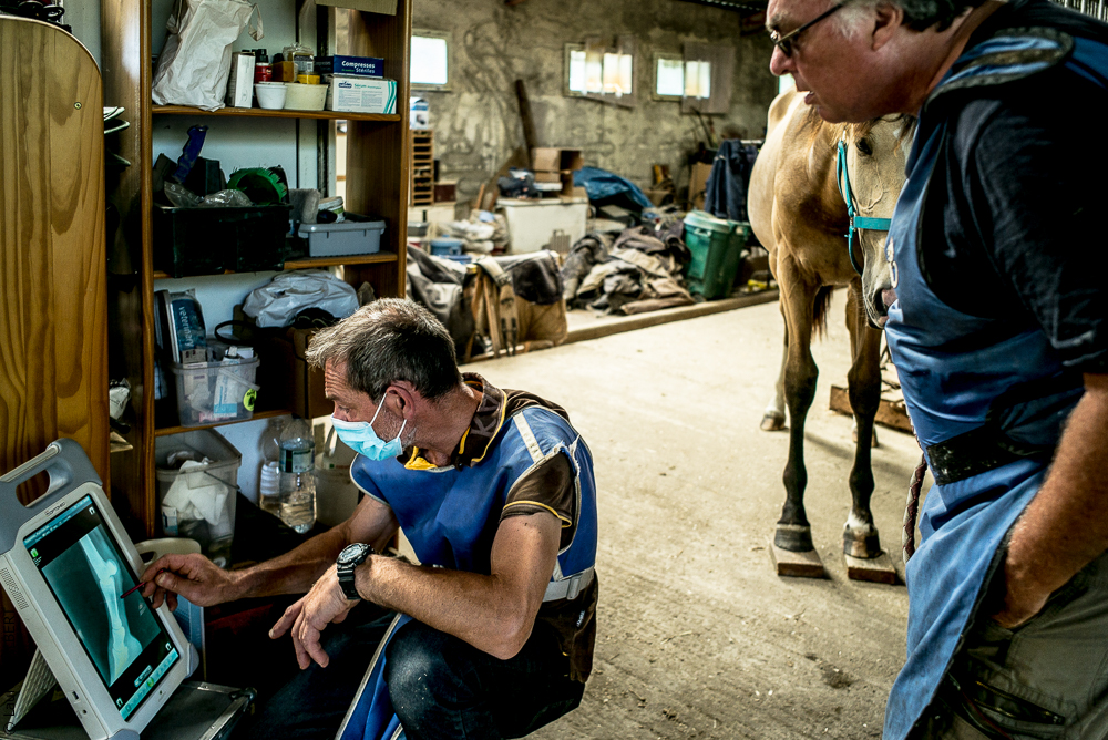 Elevage du Parc 20200721-0512