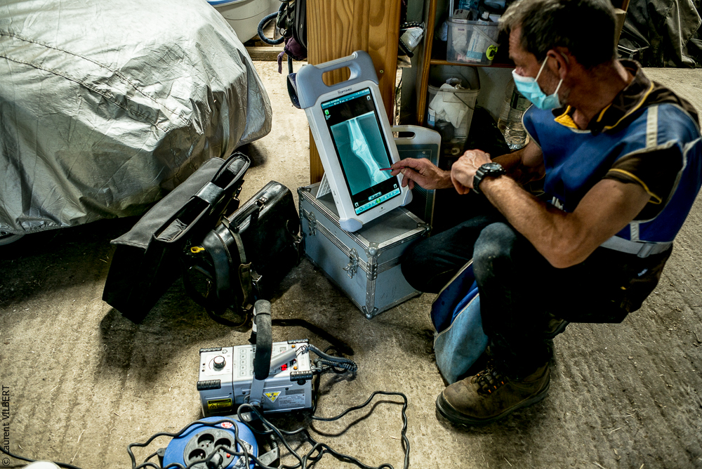 Elevage du Parc 20200721-0516