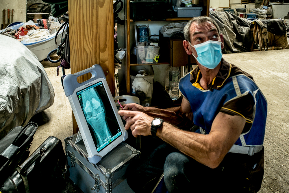 Elevage du Parc 20200721-0517