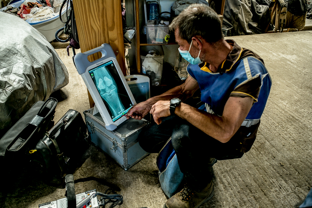 Elevage du Parc 20200721-0518