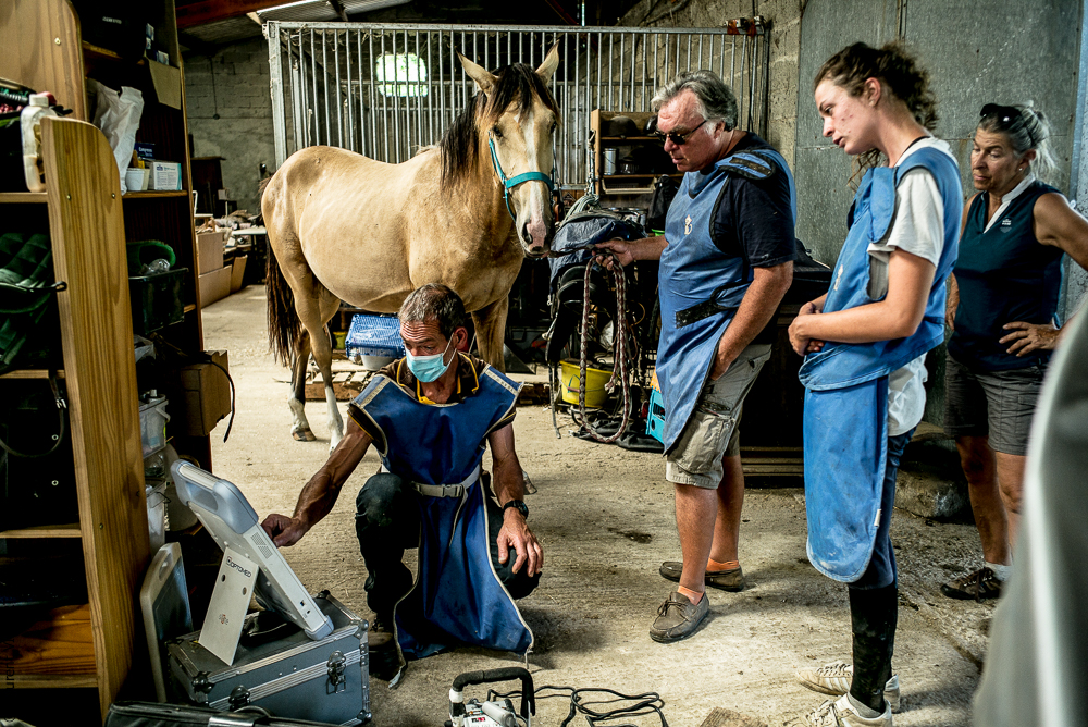 Elevage du Parc 20200721-0522