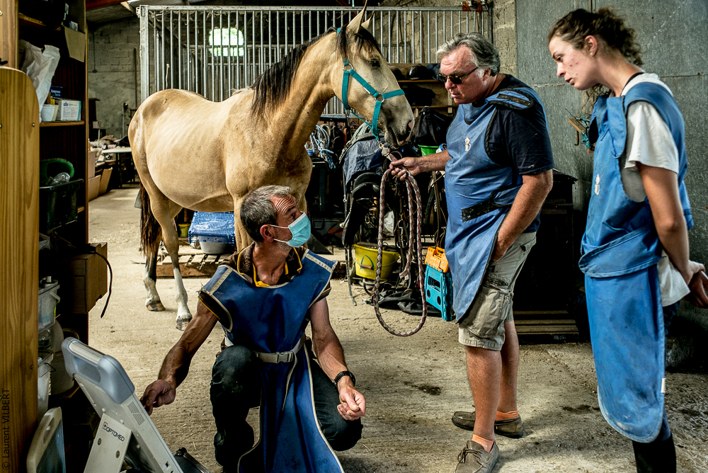 Elevage du Parc 20200721-0530
