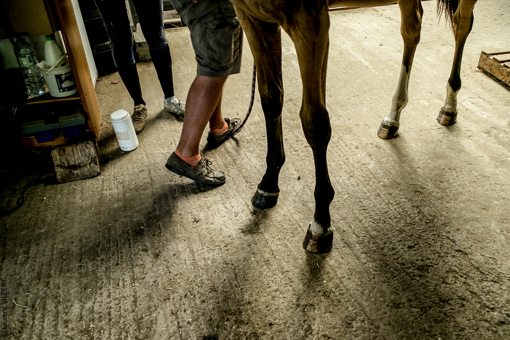Elevage du Parc 20200721-0567