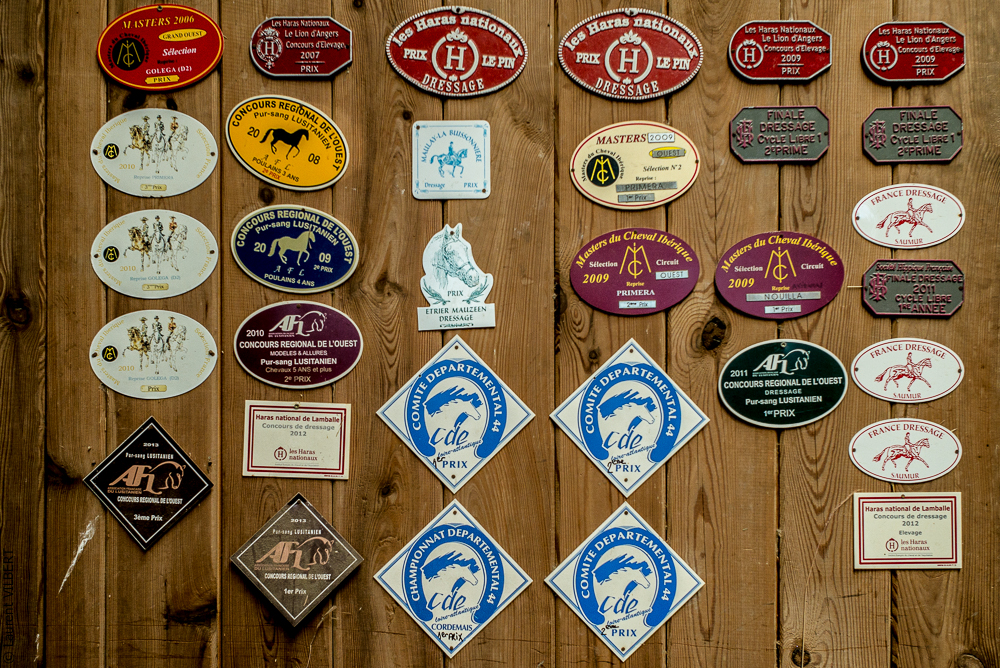 Elevage du Parc 20200721-0571