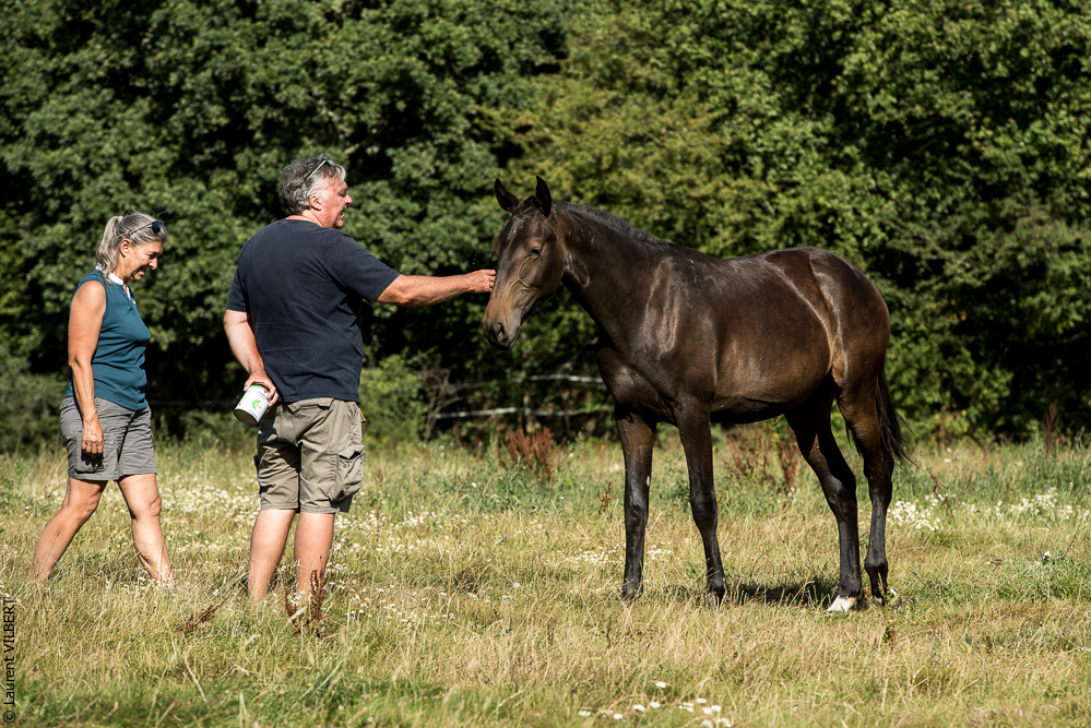 Elevage du Parc 20200721-0751