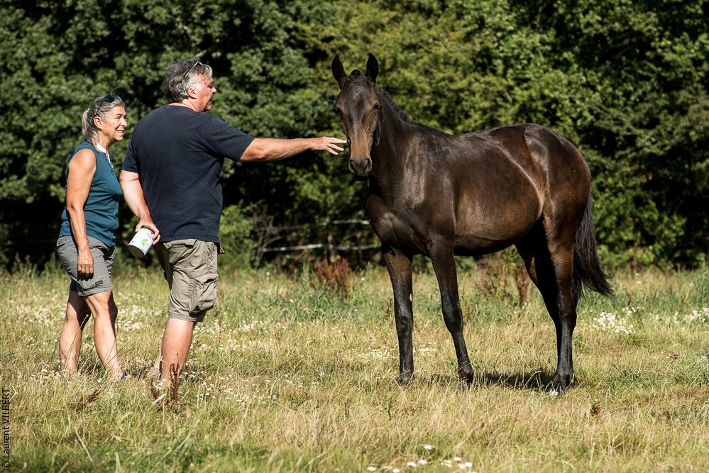 Elevage du Parc 20200721-0752