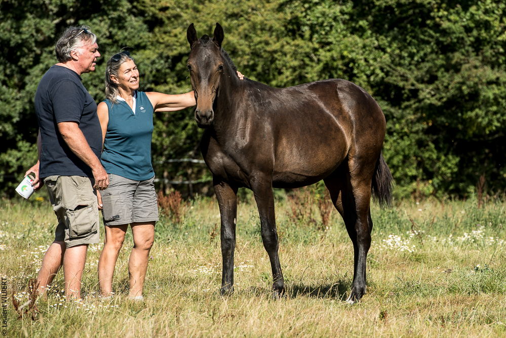 Elevage du Parc 20200721-0755
