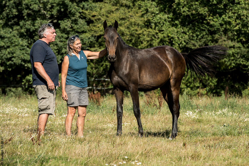 Elevage du Parc 20200721-0757